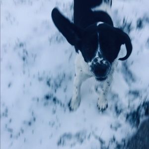 Meet your Posher, Kendall